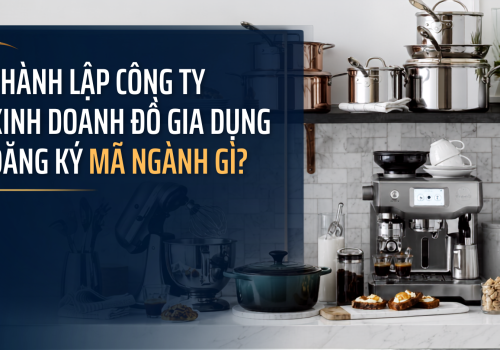 Thành lập công ty kinh doanh đồ gia dụng đăng ký mã ngành gì?